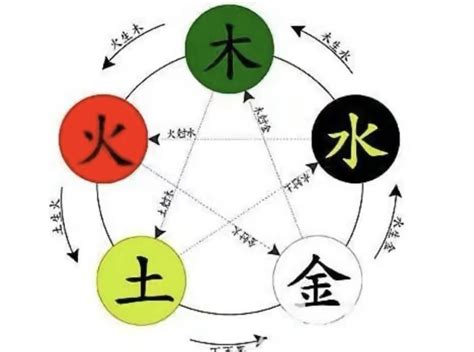 姍 五行|姍字的五行属性